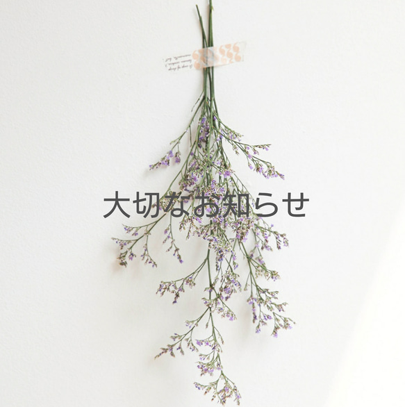 大切なお知らせ 1枚目の画像