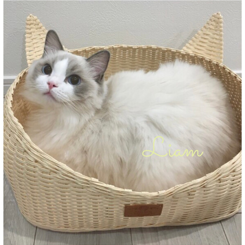 ❣️耳付き猫カゴ ☆ホワイトバニラ☆ クッション・ベッド
