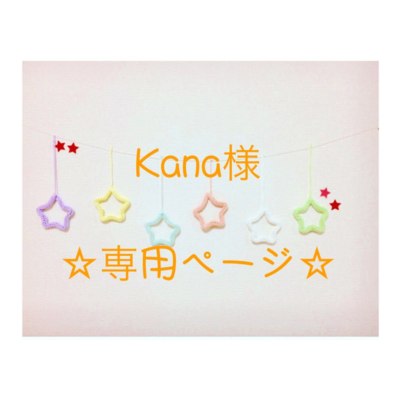 Kana様 専用ページ 1枚目の画像