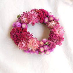 千日紅リース のおすすめ人気通販 検索結果｜Creema(クリーマ