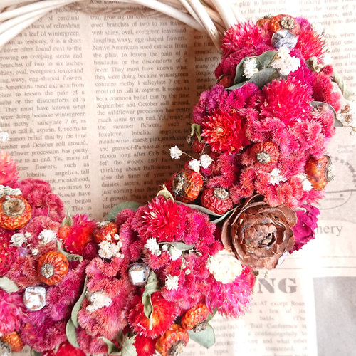 ケイトウの真っ赤なハーフリース ドライフラワー FLOWERSTORY-HIJIRI