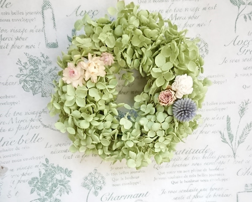 アナベルのミニリース ドライフラワー FLOWERSTORY-HIJIRI- 通販