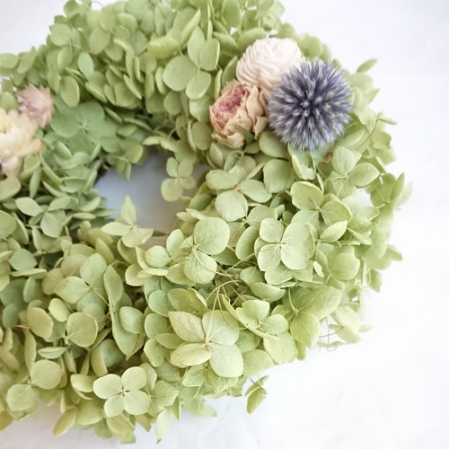 アナベルのミニリース ドライフラワー FLOWERSTORY-HIJIRI- 通販