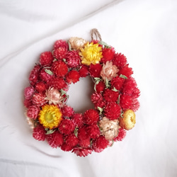 千日紅リース のおすすめ人気通販 検索結果｜Creema(クリーマ