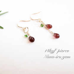 14kgf  garnet × Chrome diopside 4枚目の画像