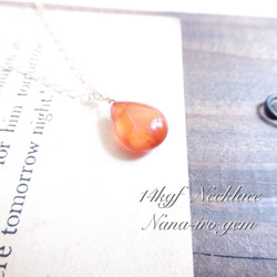 ＊再販＊14kgf carnelian necklace 2枚目の画像