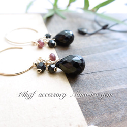 14kgf  blackspinel × mozambiquegarnet pierce 1枚目の画像