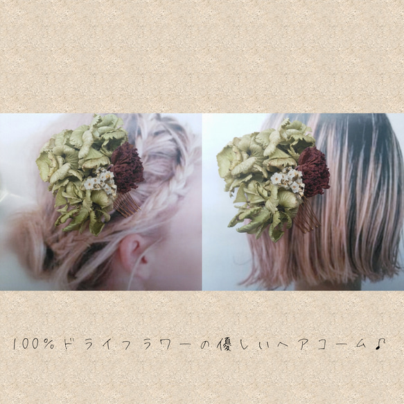 紫陽花とラナンキュラスのコーム　ドライフラワー　ヘッドドレス　ポニーフック　ヘアアクセサリー 1枚目の画像