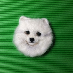 羊毛フェルトの犬ブローチ（ホワイト・ポメラニアン） 1枚目の画像