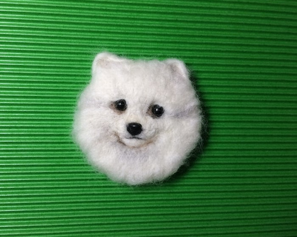 羊毛フェルトの犬ブローチ（ホワイト・ポメラニアン） 1枚目の画像