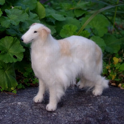 羊毛フェルトの犬人形（ボルゾイ） 3枚目の画像
