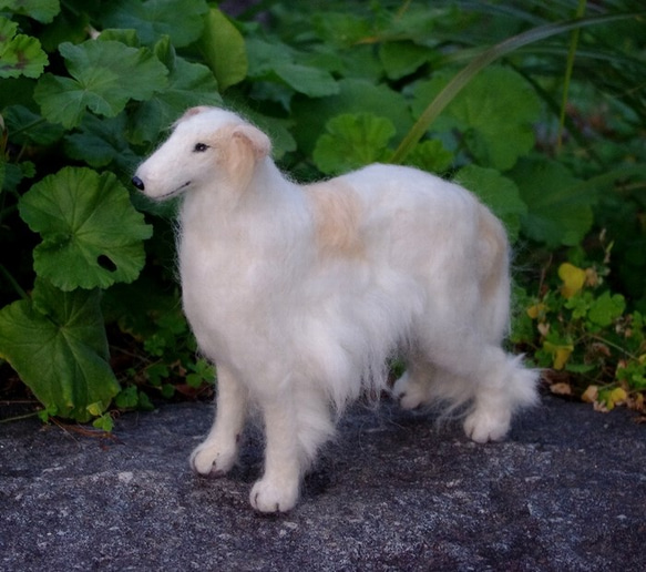 羊毛フェルトの犬人形（ボルゾイ） 3枚目の画像