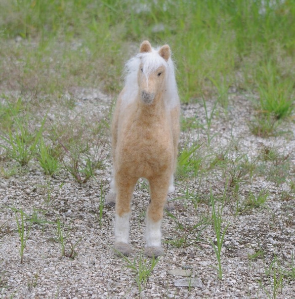 羊毛フェルト人形32cm：馬：パロミノＰＡＬＯＭＩＮＯ 4枚目の画像