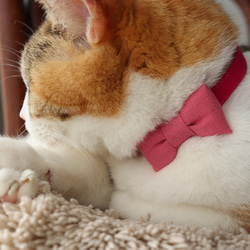 ピンク×ピンクがキュートな猫さんの首輪　お花刺繍入に変更可 7枚目の画像