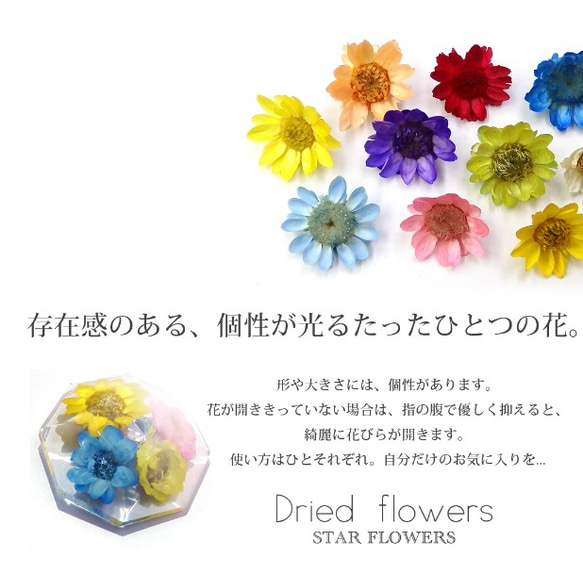 スターフラワー　ガラスドームに【生花を使用したドライフラワー10色】約10個入り 2枚目の画像
