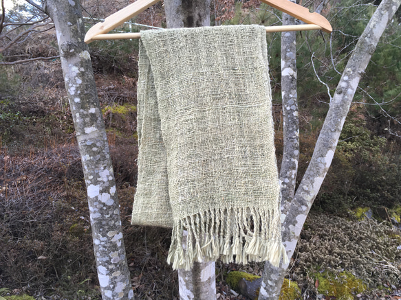 【畑からの優しい贈り物】 手紡ぎオーガニック緑綿マフラー 3枚目の画像