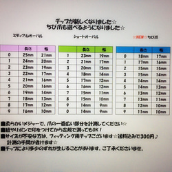  第3張的照片