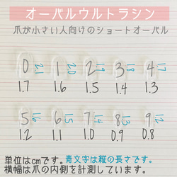 ネイリスト作成✴︎ニュアンスシェルデザイン☺︎キラキラでシンプルで使いやすいネイルチップです✴︎ 5枚目の画像