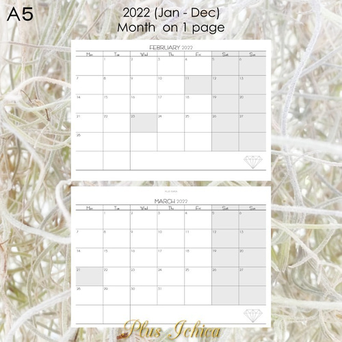 2022年1月始まり 18カ月 マンスリーダイアリー A5サイズ 2022年1月始まり 18カ月 マンスリーダイアリー A5サイズ - メルカリ