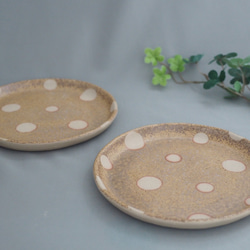 備前焼　希少　お皿 備前焼 水玉皿M（約18センチ） 中皿 Aco＊cocha 吉岡亜子 通販