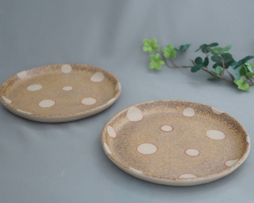 備前焼　希少　お皿 1_c4abff9a20c140bb07dd91838712