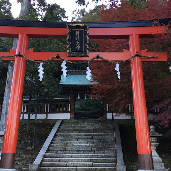 2018京都  月読神社祈願済み  無限大　ヘアカチューシャ黒  リボン 4枚目の画像