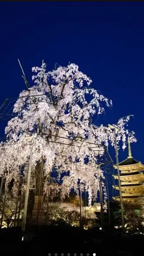 祇園の桜♬ピアス  巾着付き 7枚目の画像