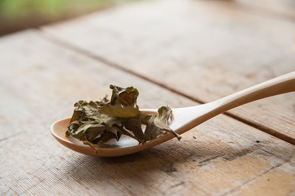 どくだみ　薬草茶　国産・無農薬 2枚目の画像