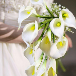 再販できます‼カラーとカスミ草のクラッチブーケ　G&R作品　アーティフィシャルフラワー仕様のオリジナルデザイン 1枚目の画像