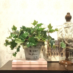 グリーンポット　アイビー版　ＰＶプルーフのアーティフィシャルフラワーをブリキのバケツ型花器にアレンジ　 1枚目の画像