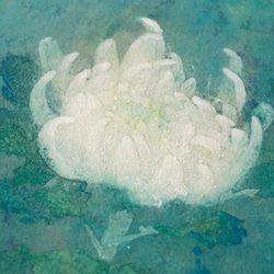 日本画 「はな」 菊の花一輪の絵画 額縁付 3枚目の画像