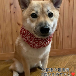 洗濯OK!  犬用 クールスヌード ♡ クールネック ♡ クールバンダナ ♡ 唐草模様 赤 10枚目の画像