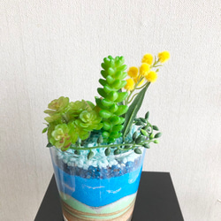 多肉植物の寄せ植え♡カラーサンドアート 3枚目の画像