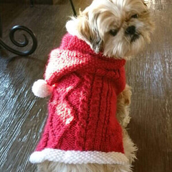 小型犬用クリスマスベスト 1枚目の画像