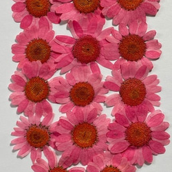 0_e6410eb3b3a72f54d45cc34d5e70