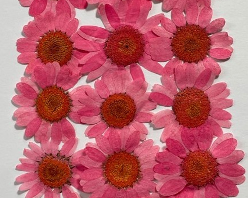 0_e6410eb3b3a72f54d45cc34d5e70