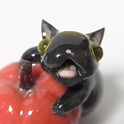 ねこにゃどう/nekonyadouのギャラリー｜ハンドメイド・手仕事品