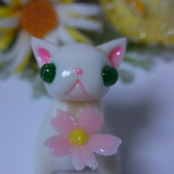 猫と桜（しろにゃんこ） 1枚目の画像