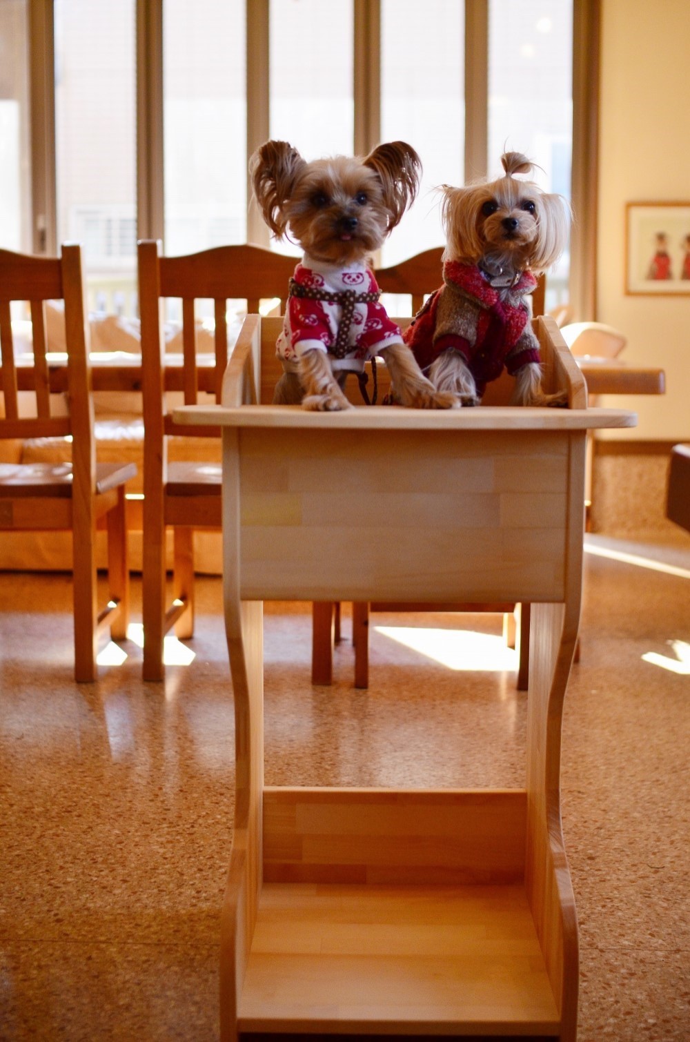 テーブル付ワンちゃん専用椅子 DogChair【ナチュラル】 寵物墊・床・睡