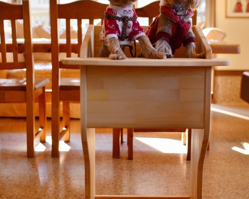 テーブル付ワンちゃん専用椅子 DogChair【ナチュラル