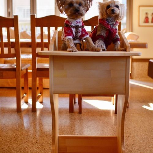 テーブル付ワンちゃん専用椅子 DogChair【ナチュラル