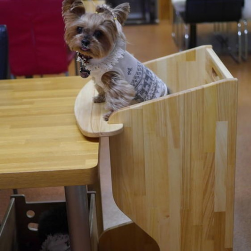 テーブル付ワンちゃん専用椅子 DogChair【ナチュラル