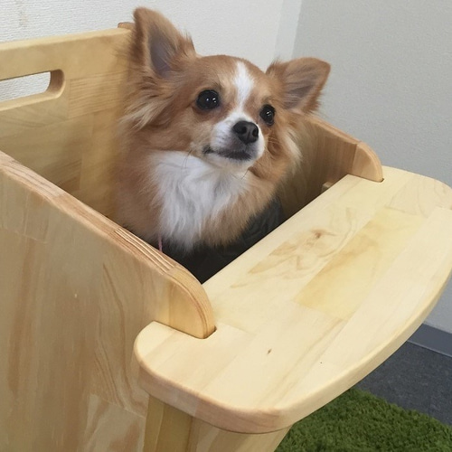 テーブル付ワンちゃん専用椅子 DogChair【ナチュラル