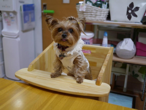 テーブル付ワンちゃん専用椅子　DogChair【ナチュラル】 7枚目の画像