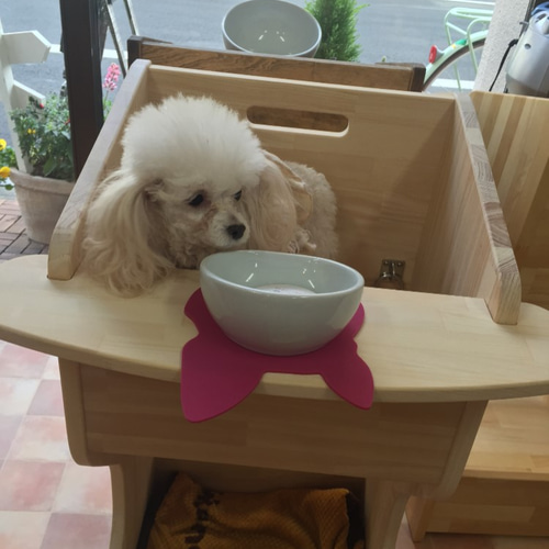 テーブル付ワンちゃん専用椅子 DogChair【ナチュラル