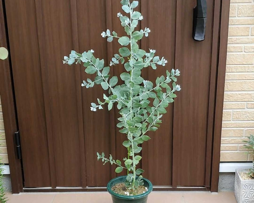 0_19b74e091cbf5e2eea4dd25473c8