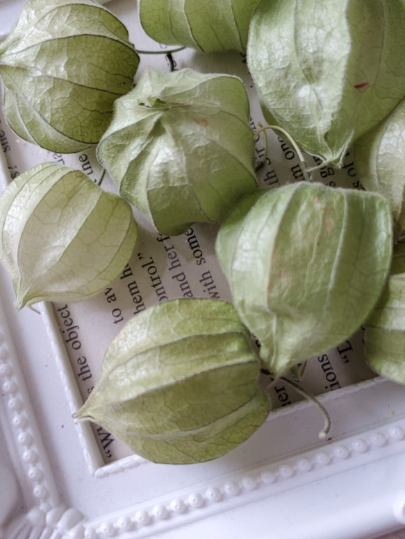 ほおずき　ガーランド　スワッグ　リース ほおずきガーランドスワッグリース