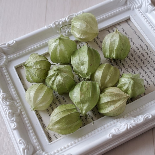 ほおずき ドライフラワー リースガーランドスワッグ素材花材に