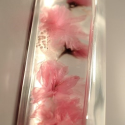 　ハーバリウム「八重桜」 4枚目の画像