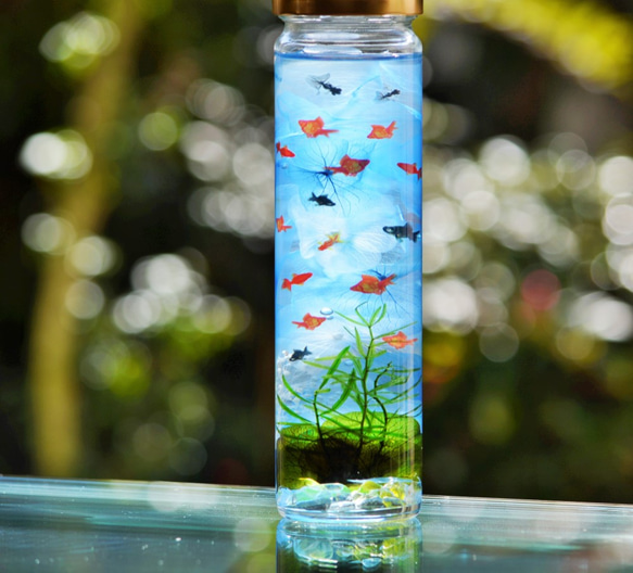 ★SALE★No.327 楕円形トレイ✨固まるハーバリウム ☆SALE☆No.327 楕円形トレイ✨固まるハーバリウム - メルカリ